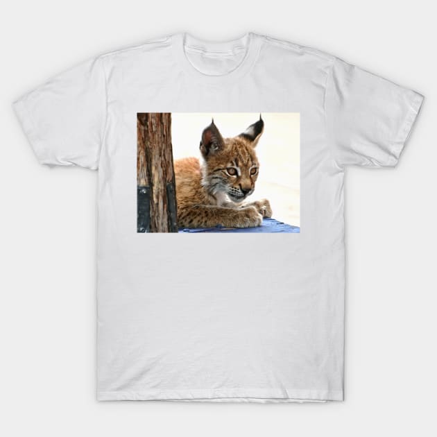 Baby Lynx T-Shirt by Scubagirlamy